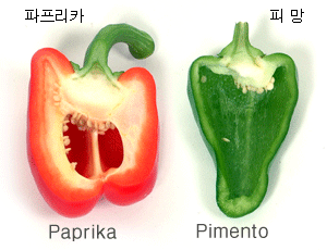 파프리카 이미지