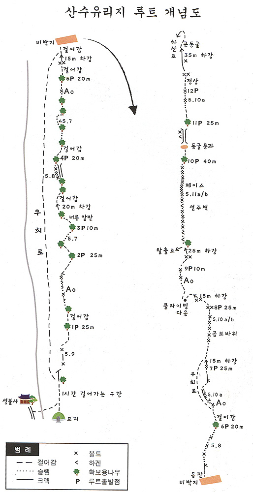 산수유 이미지