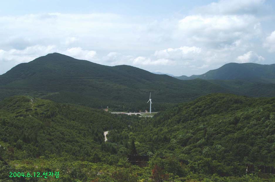 1087254465951_DSC_0409.jpg
