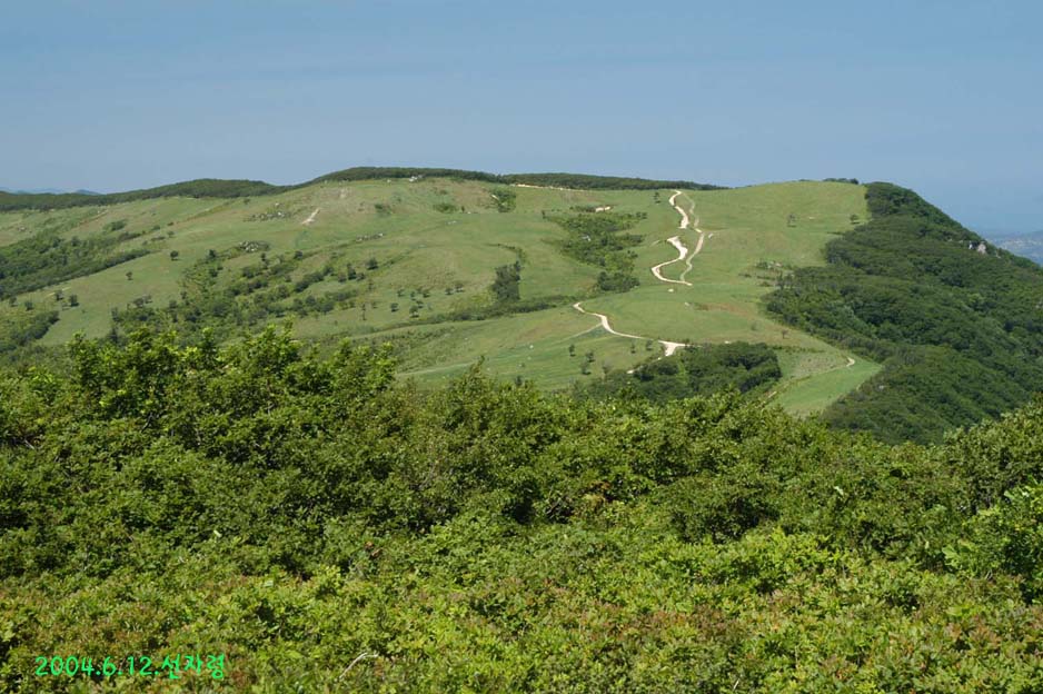 1087254582876_DSC_0516.jpg